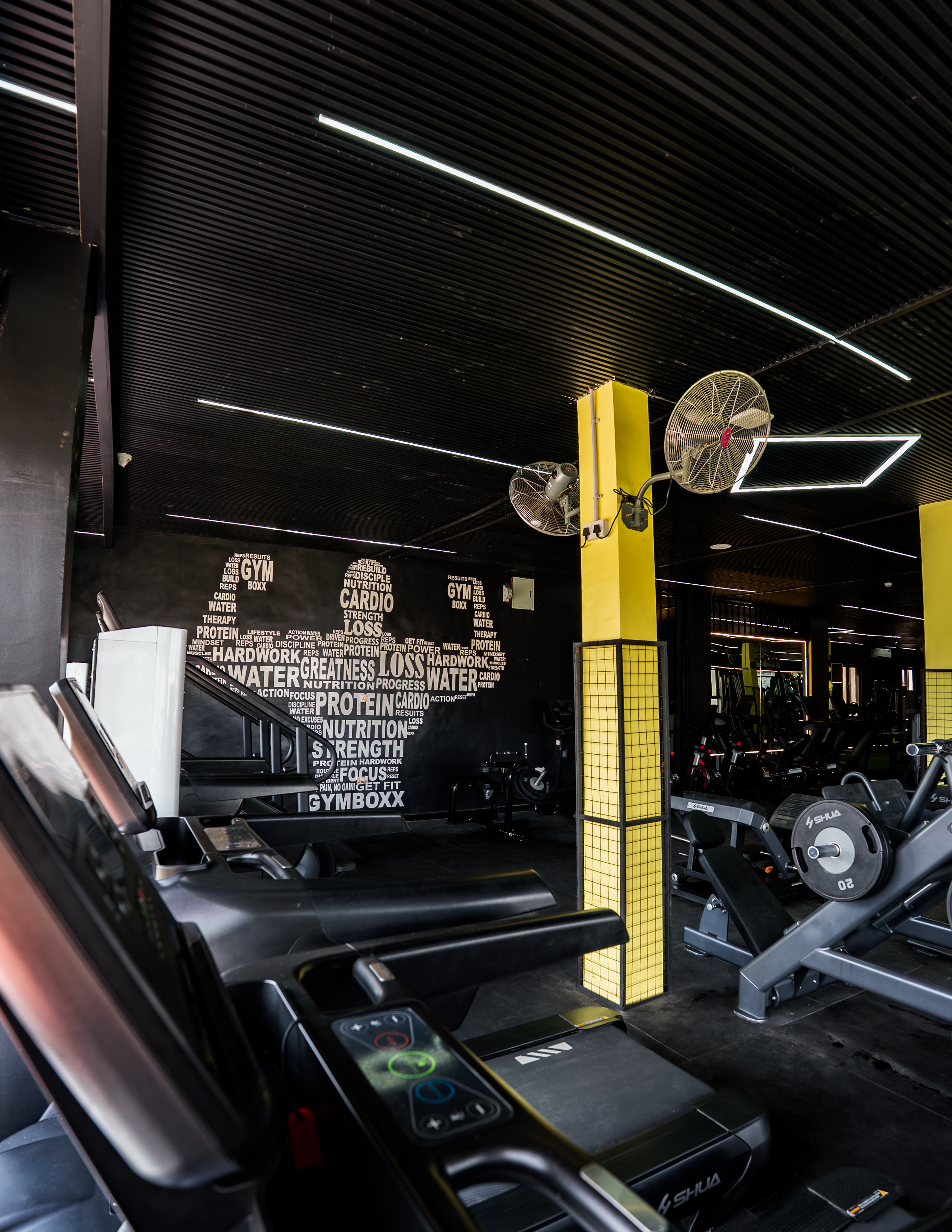 Treadmills on the gym floor